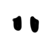 741529083