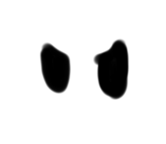 741529084