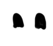 741529085