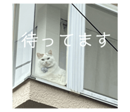 741533346