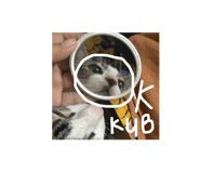 741540845