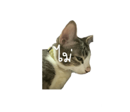 741540846