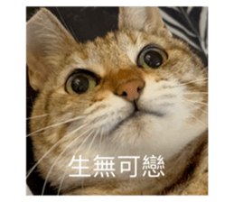 741553580