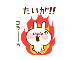 74156537