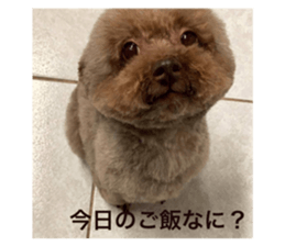 741573386