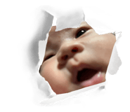 741595866
