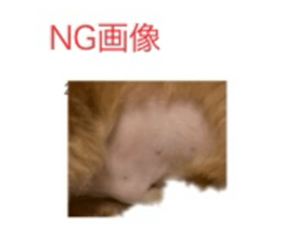741601891