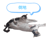 741648818