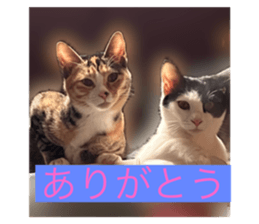 741786751