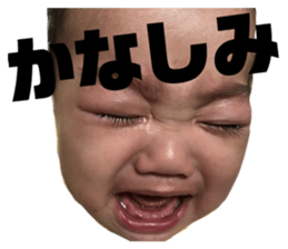74178685