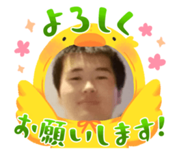 741811852