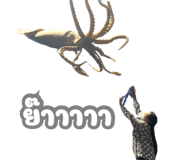 741851779