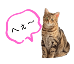 741871099