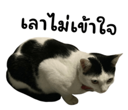 741871308