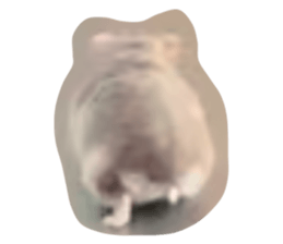 741884243