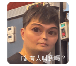 741888355