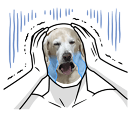741889971