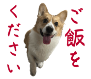 741908899
