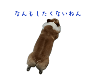 741908905