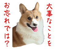 741908911
