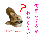 741908912