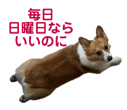 741908913