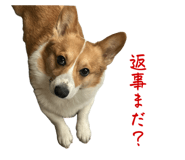 741908915
