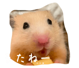741913891