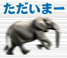 741953051