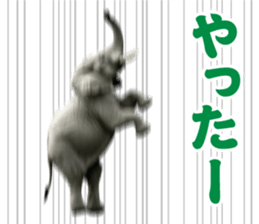 741953053