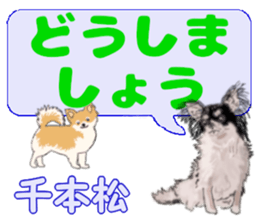 741956393