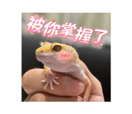 741972225