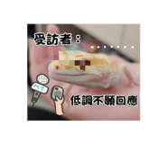 741972228