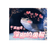 741972232