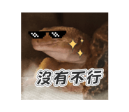 741972237
