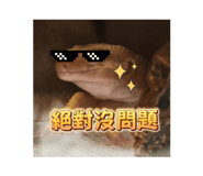 741972238
