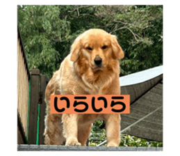 742003208
