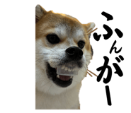 742039183