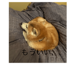 742100017