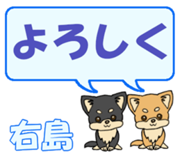 742122429