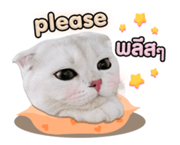742132817