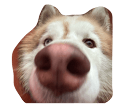 742134178