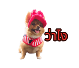 742139770