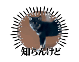 742145538