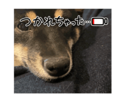 742145541
