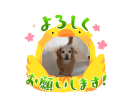 742145638