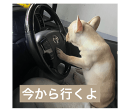 742157884
