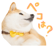 742178763