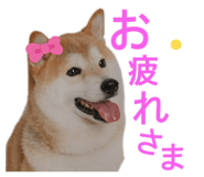 742178765