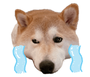742178770